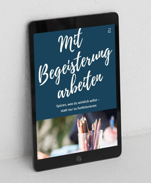 Cover des Workbooks „Mit Begeisterung arbeiten“
