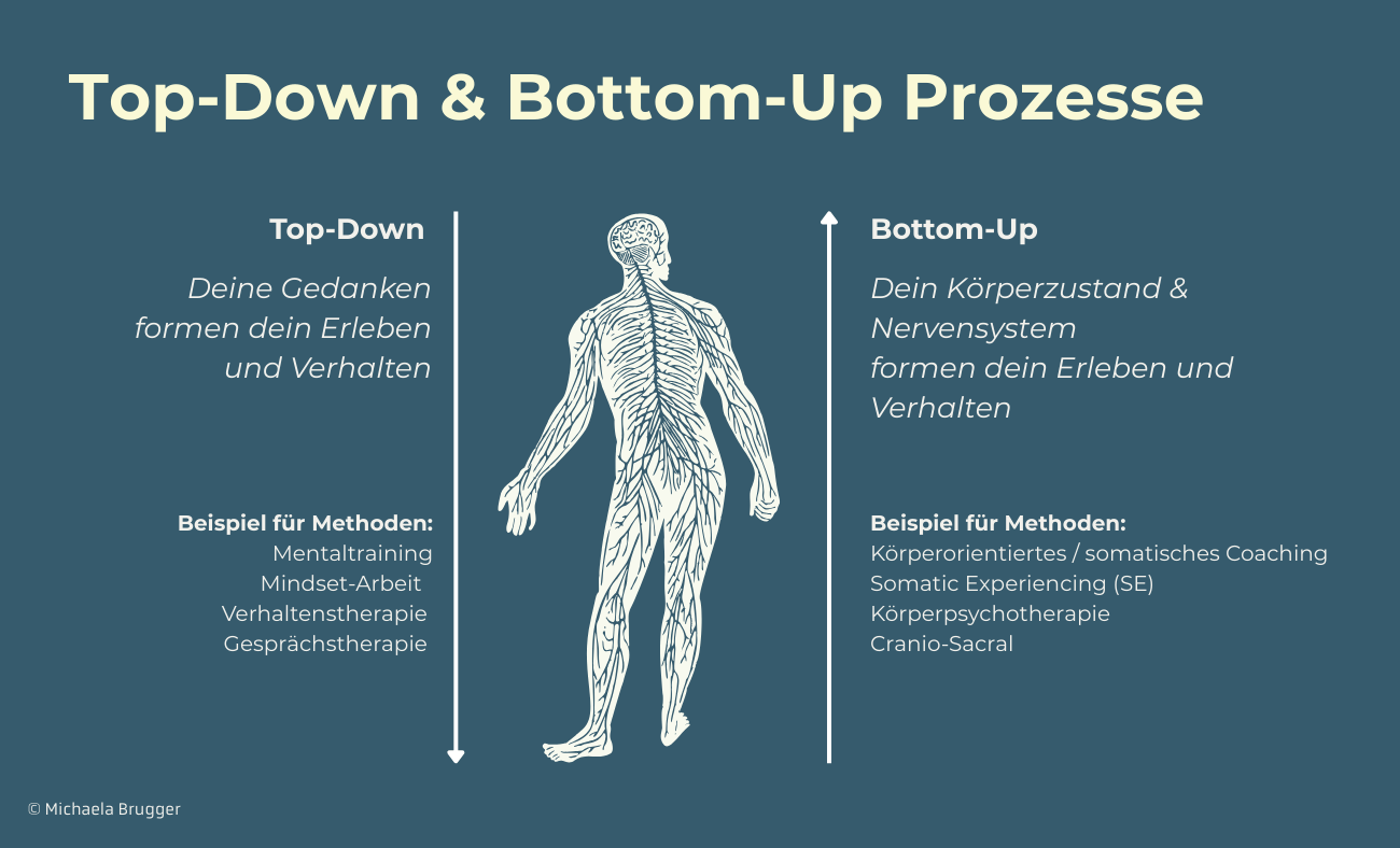Mentaltraining vs körperorientiertes Coaching Mentaltraining